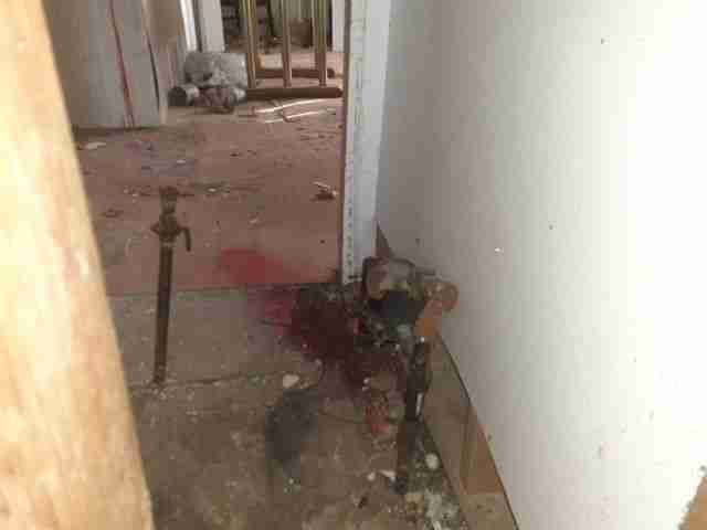 Testing again(63).jpg